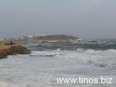 thalassa 269